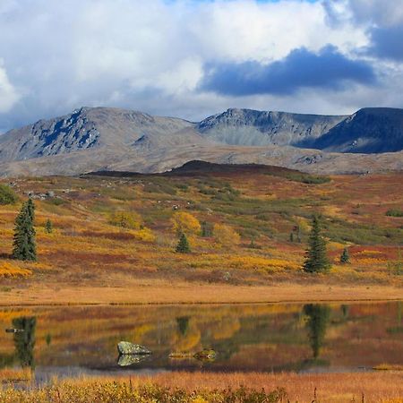 Caribou Lodge Alaska Talkeetna Εξωτερικό φωτογραφία