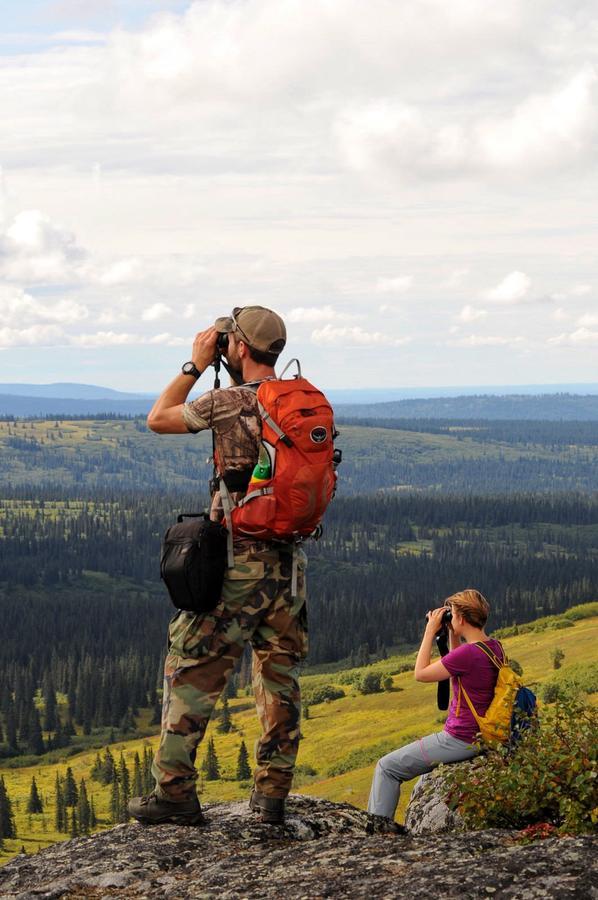Caribou Lodge Alaska Talkeetna Εξωτερικό φωτογραφία