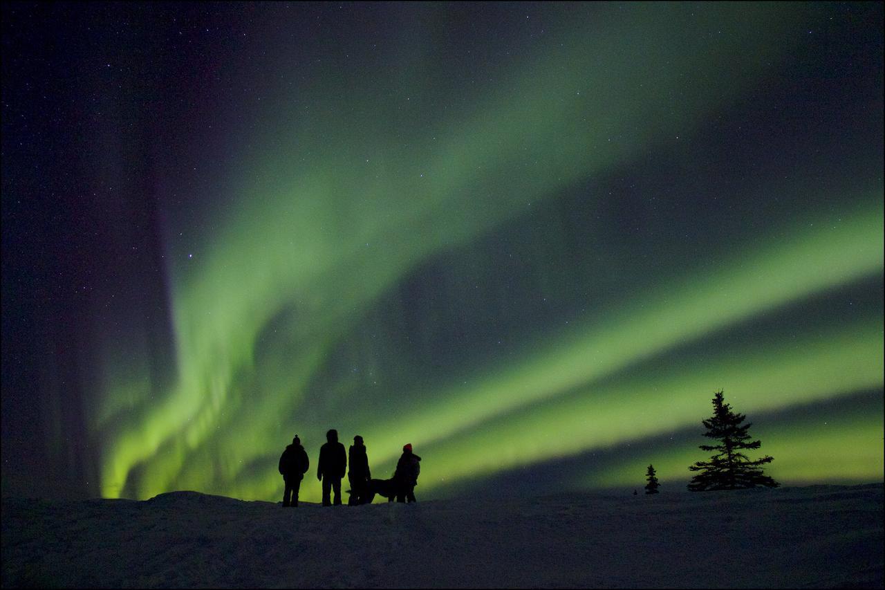 Caribou Lodge Alaska Talkeetna Εξωτερικό φωτογραφία