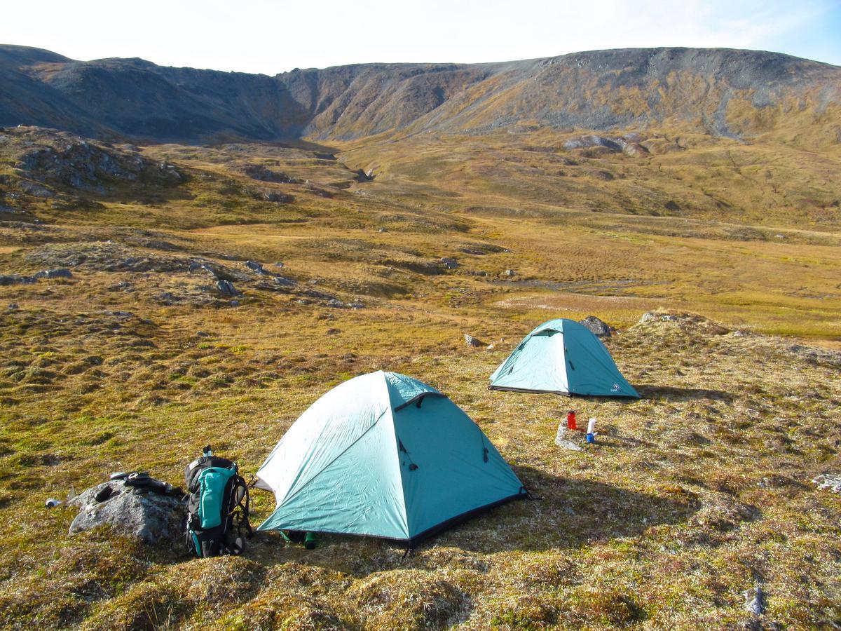 Caribou Lodge Alaska Talkeetna Εξωτερικό φωτογραφία