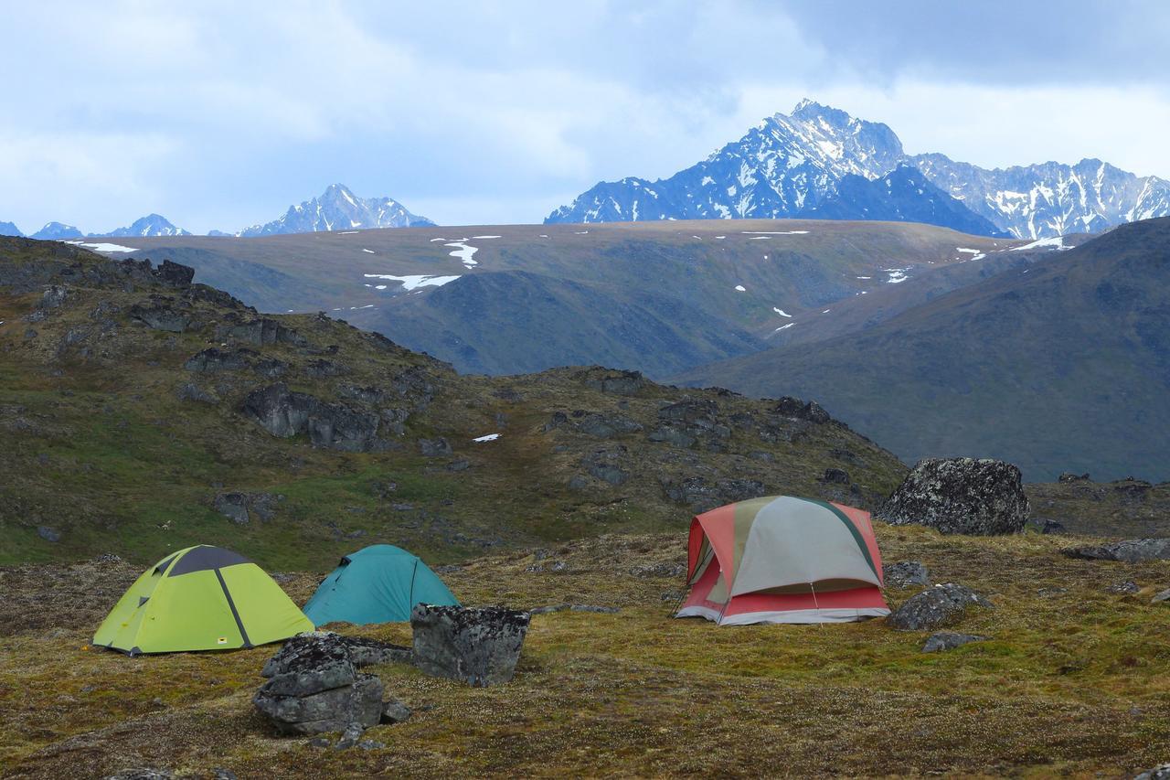 Caribou Lodge Alaska Talkeetna Εξωτερικό φωτογραφία