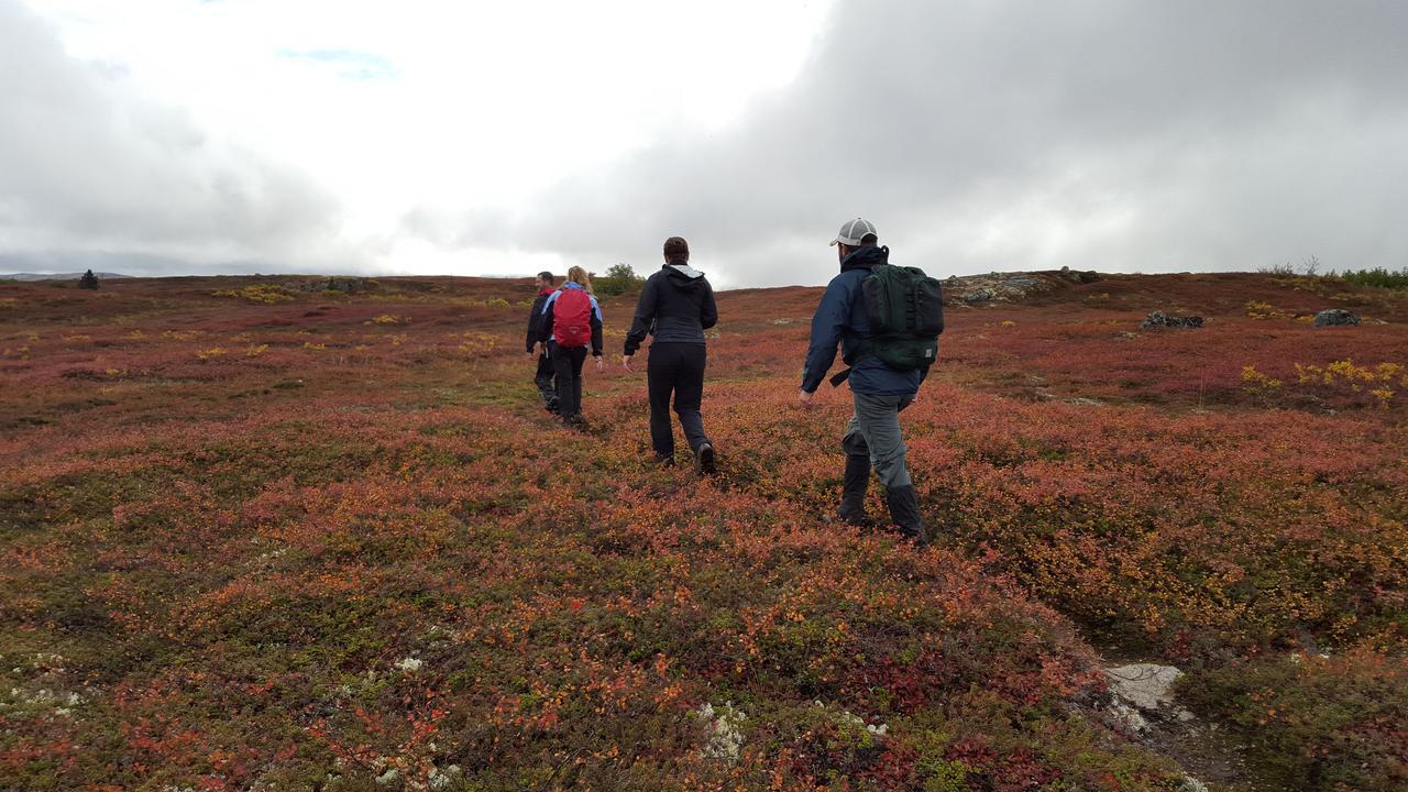 Caribou Lodge Alaska Talkeetna Εξωτερικό φωτογραφία