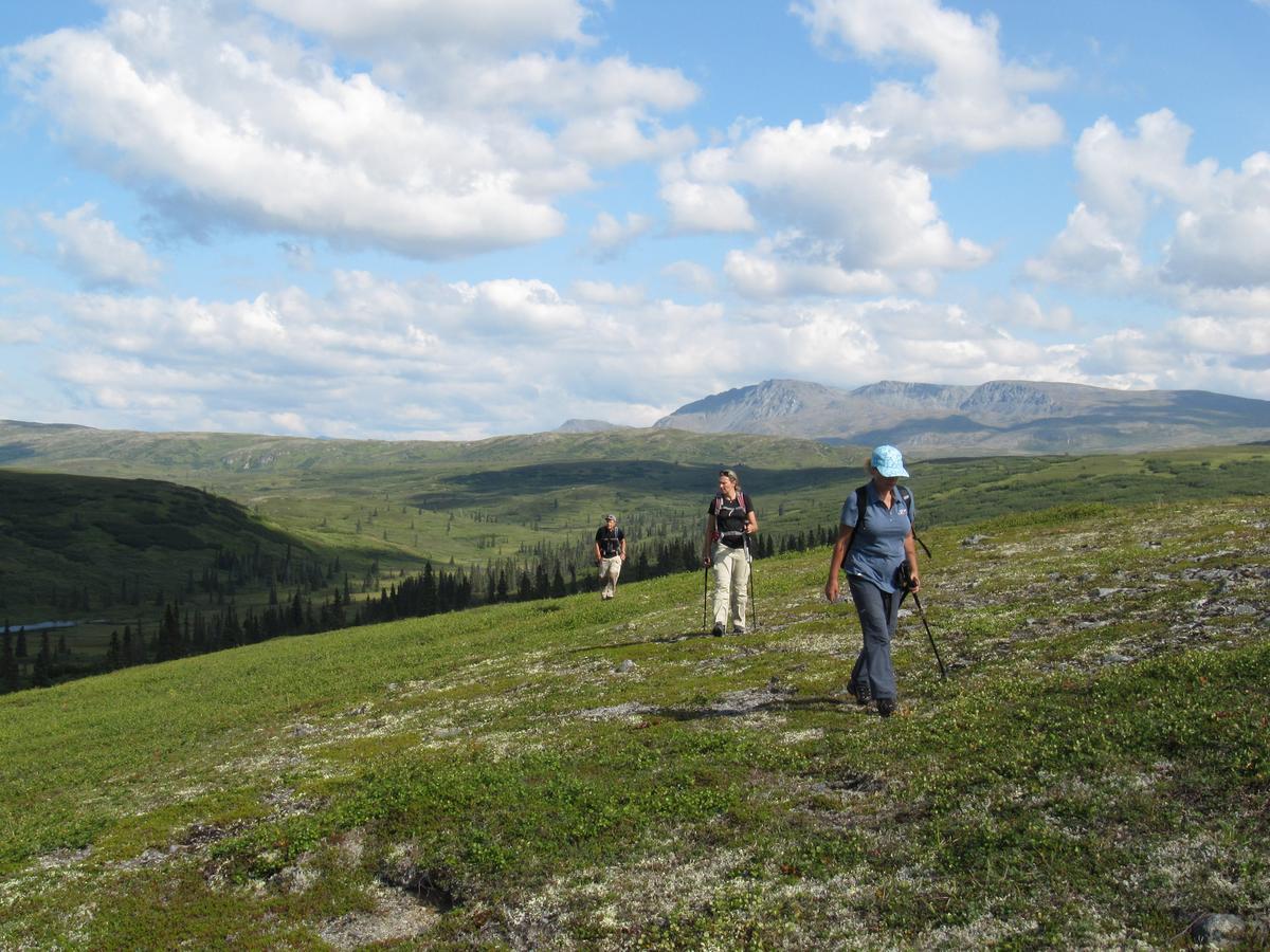 Caribou Lodge Alaska Talkeetna Εξωτερικό φωτογραφία