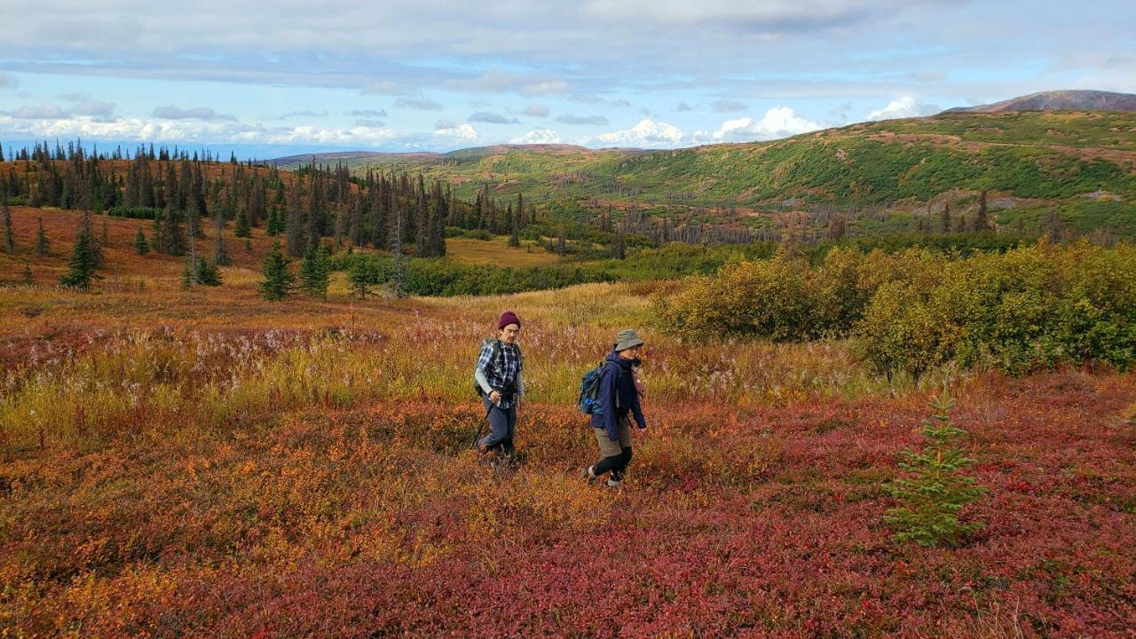 Caribou Lodge Alaska Talkeetna Εξωτερικό φωτογραφία