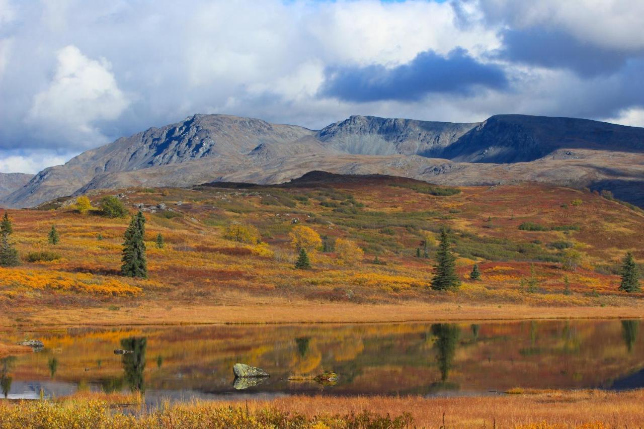 Caribou Lodge Alaska Talkeetna Εξωτερικό φωτογραφία