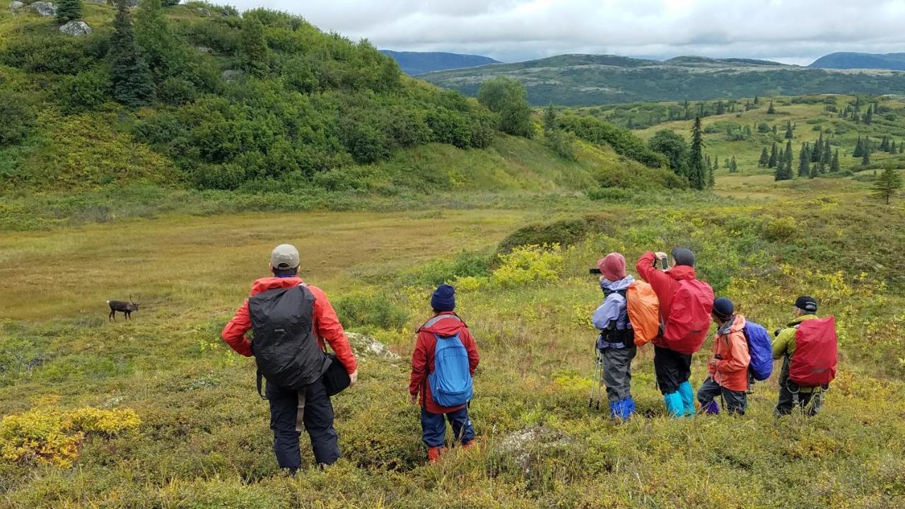 Caribou Lodge Alaska Talkeetna Εξωτερικό φωτογραφία