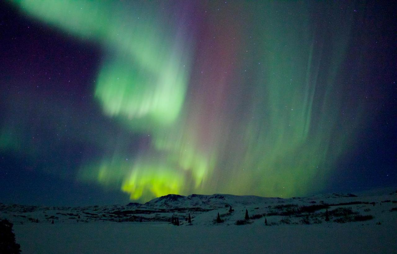 Caribou Lodge Alaska Talkeetna Εξωτερικό φωτογραφία