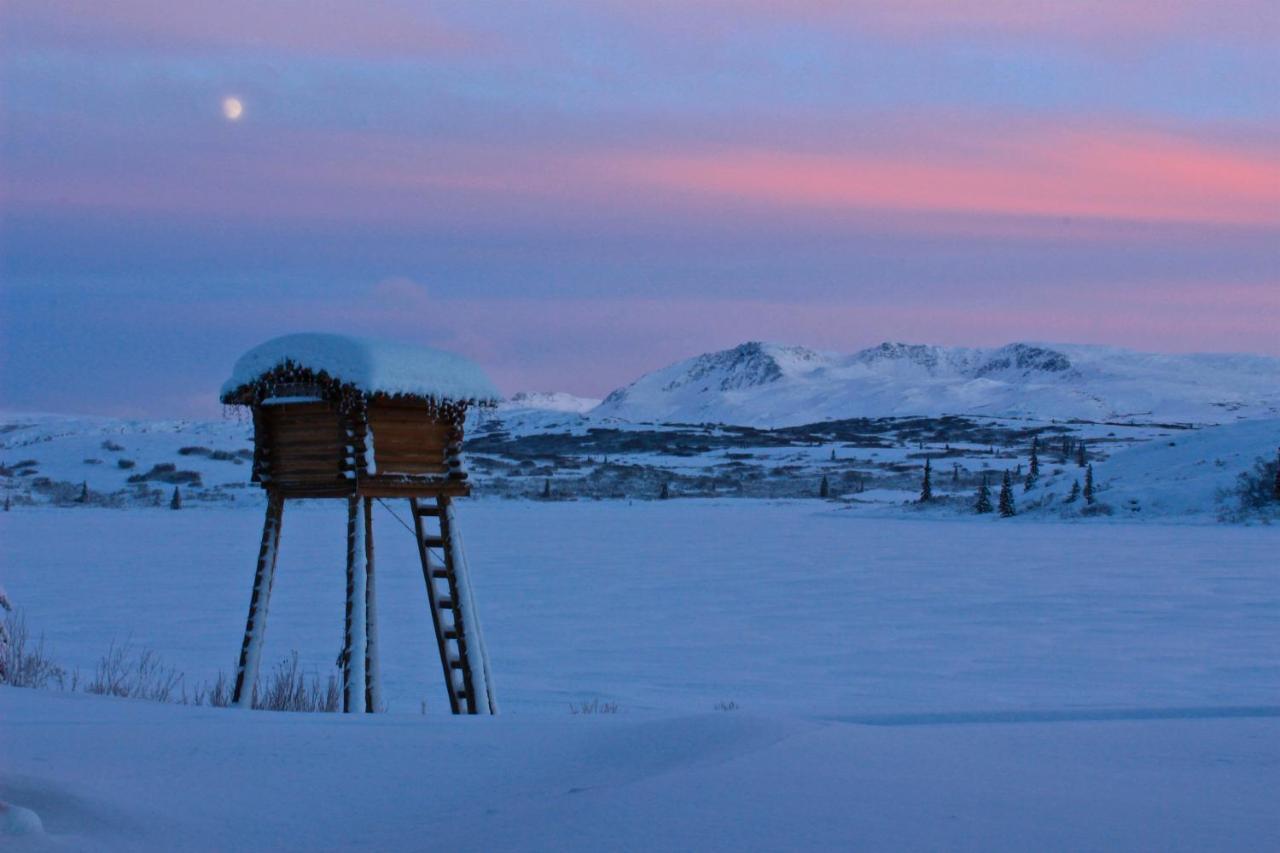 Caribou Lodge Alaska Talkeetna Εξωτερικό φωτογραφία