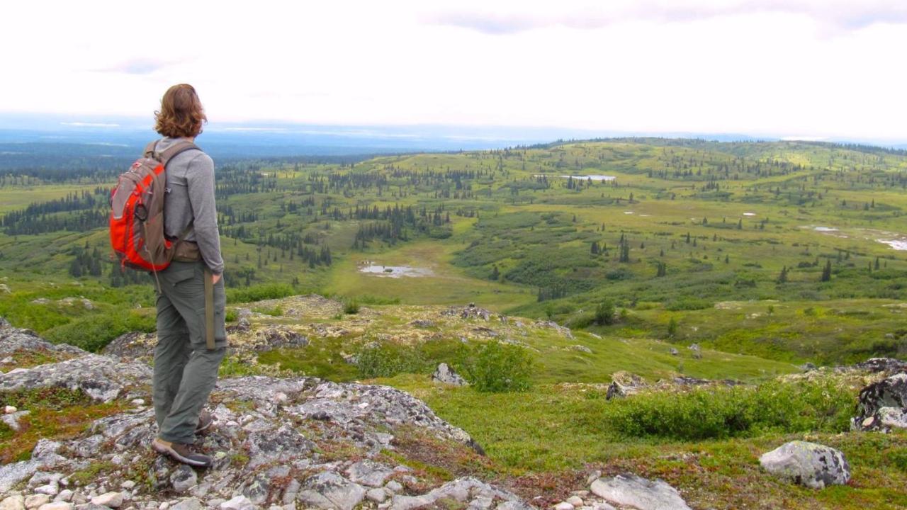 Caribou Lodge Alaska Talkeetna Εξωτερικό φωτογραφία