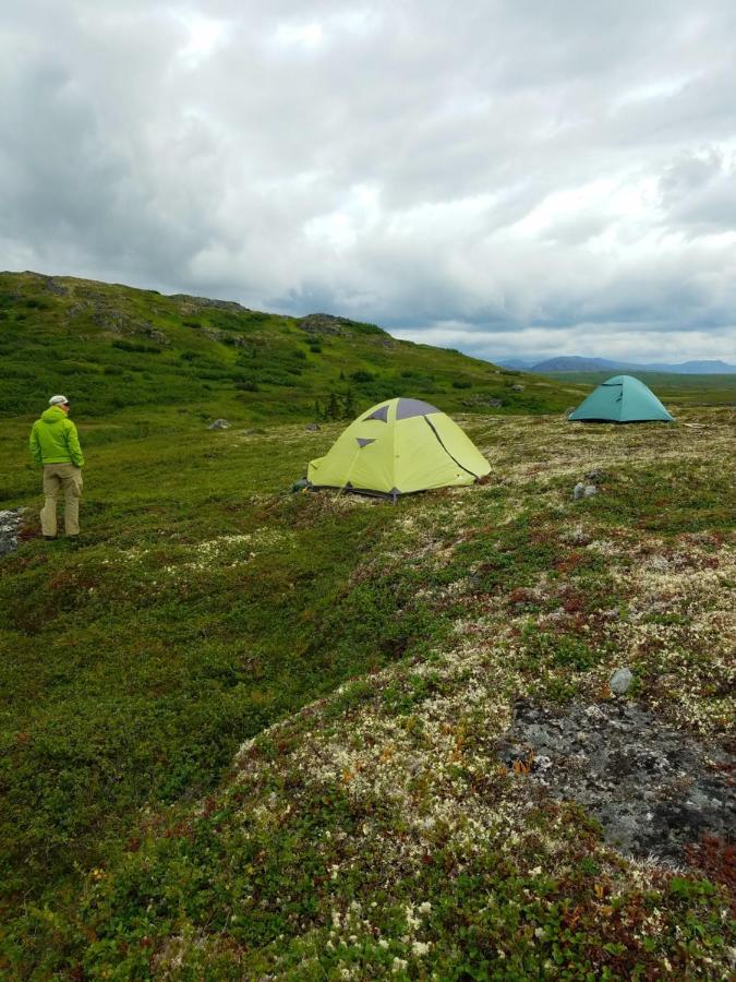 Caribou Lodge Alaska Talkeetna Εξωτερικό φωτογραφία