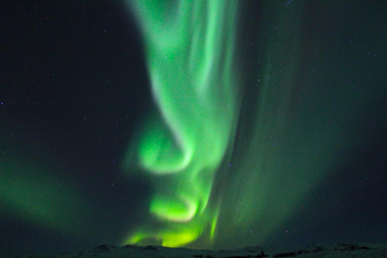 Caribou Lodge Alaska Talkeetna Εξωτερικό φωτογραφία
