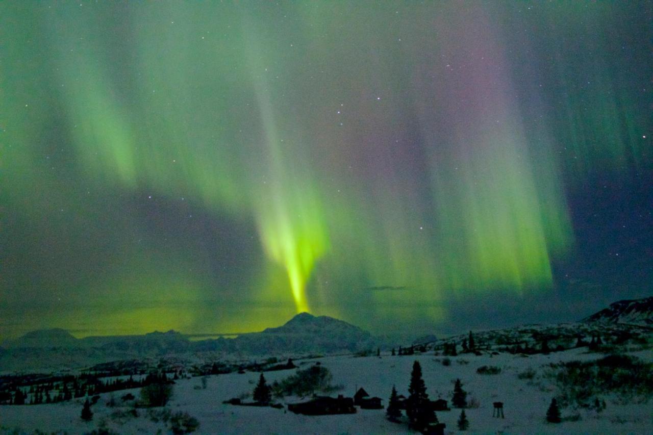 Caribou Lodge Alaska Talkeetna Εξωτερικό φωτογραφία