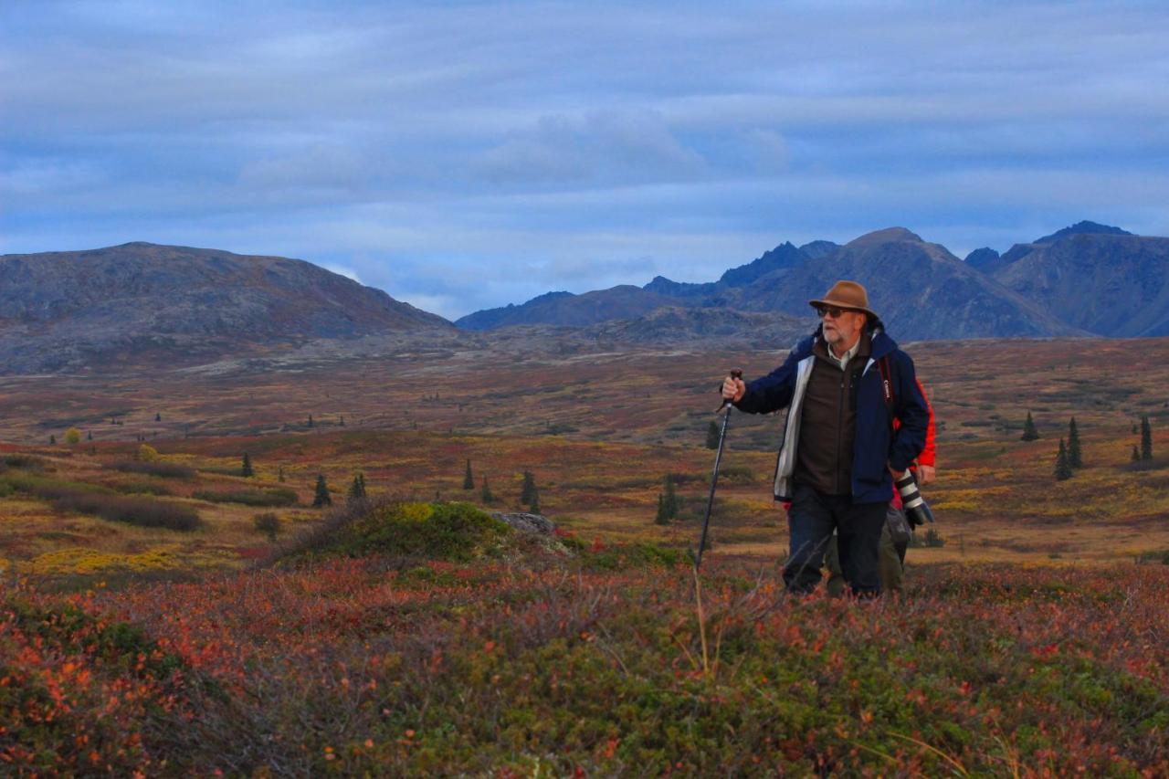 Caribou Lodge Alaska Talkeetna Εξωτερικό φωτογραφία