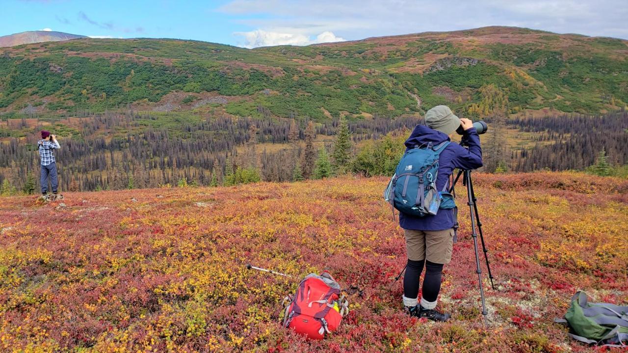 Caribou Lodge Alaska Talkeetna Εξωτερικό φωτογραφία