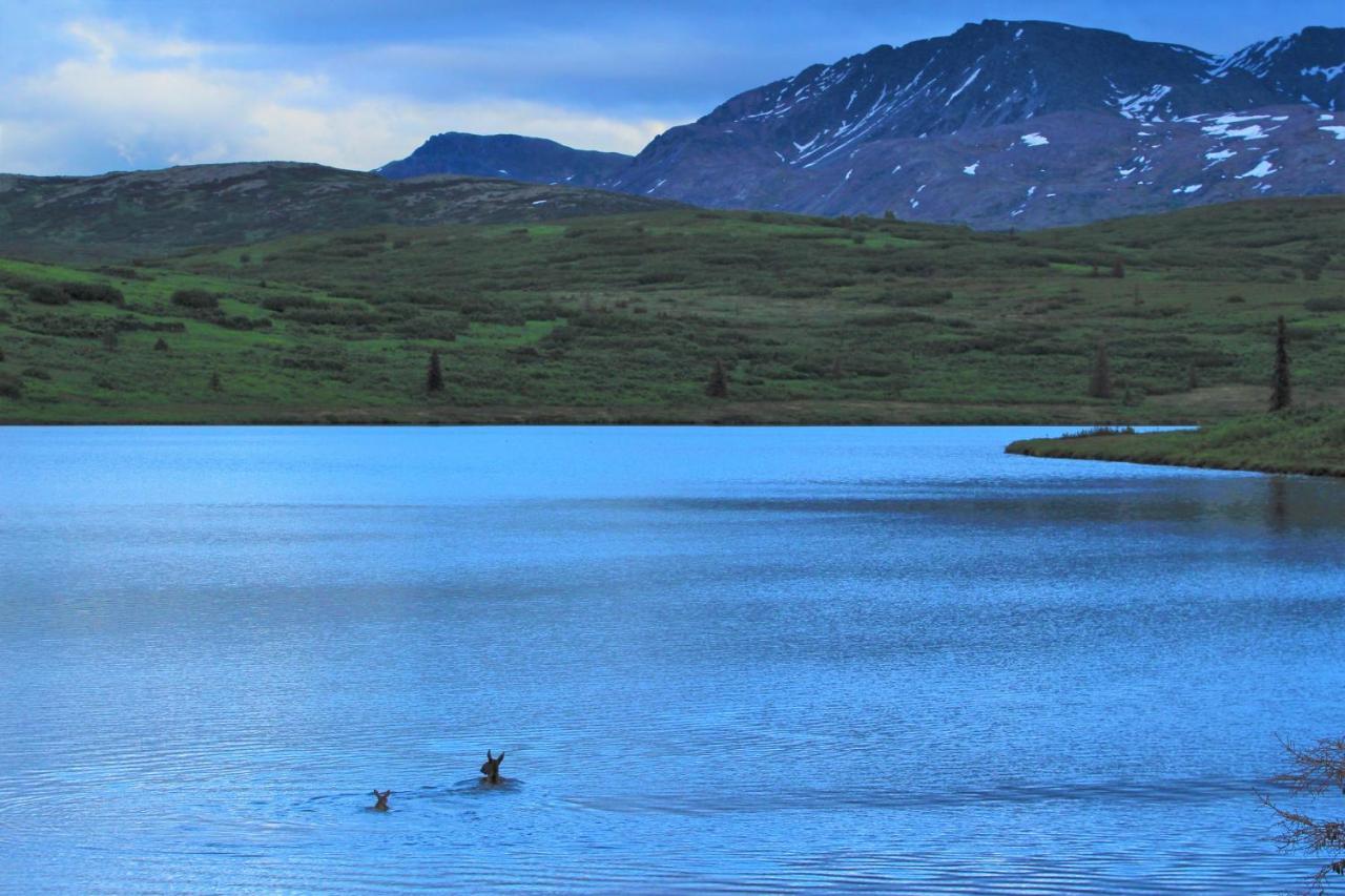 Caribou Lodge Alaska Talkeetna Εξωτερικό φωτογραφία