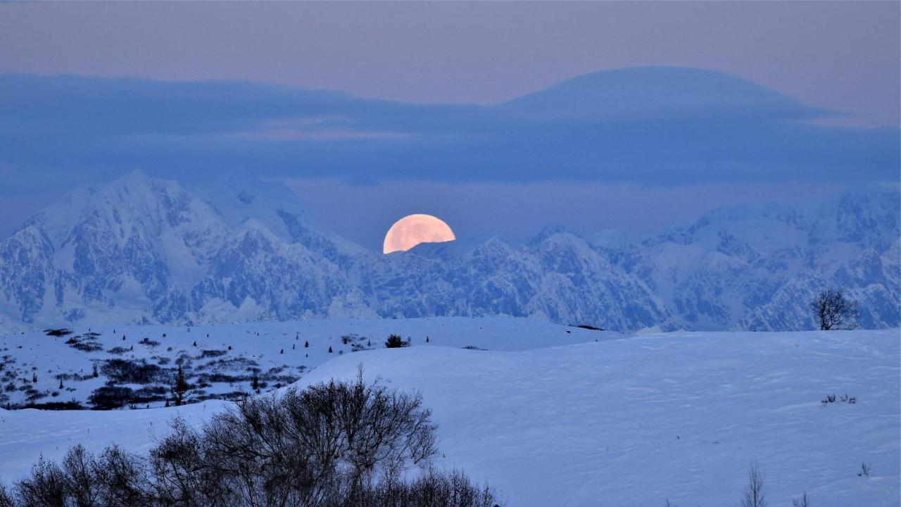 Caribou Lodge Alaska Talkeetna Εξωτερικό φωτογραφία