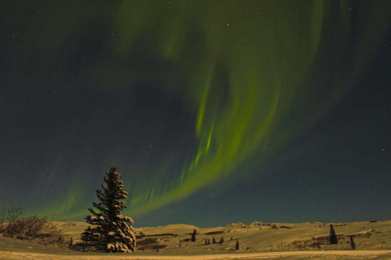 Caribou Lodge Alaska Talkeetna Εξωτερικό φωτογραφία
