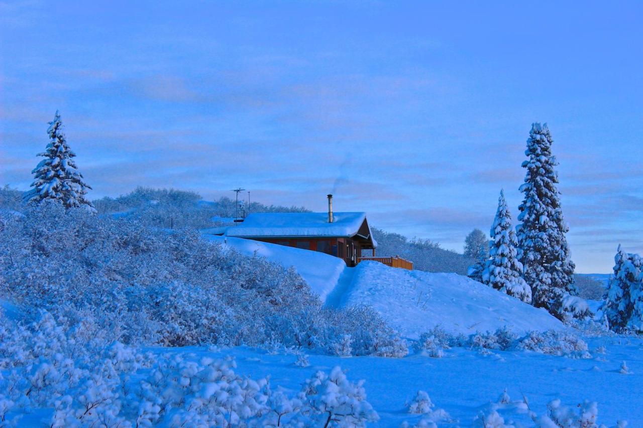 Caribou Lodge Alaska Talkeetna Εξωτερικό φωτογραφία